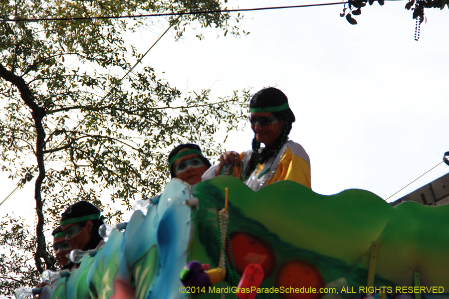 2014-Krewe-of-Choctaw11136
