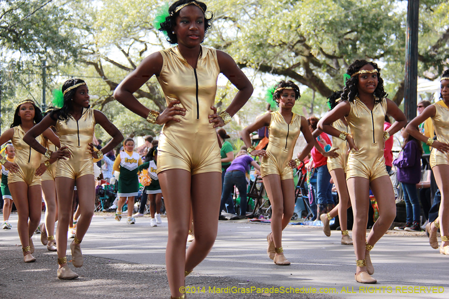 2014-Krewe-of-Choctaw11148