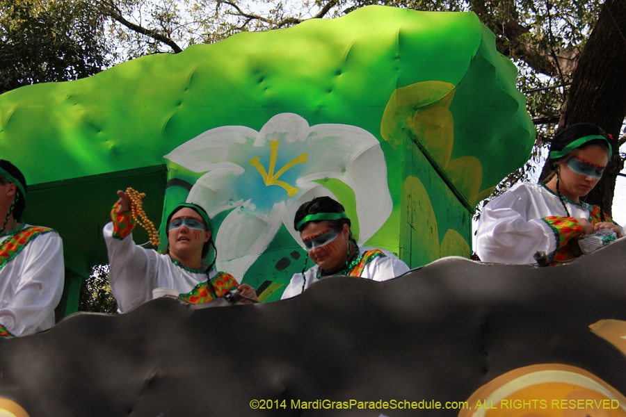 2014-Krewe-of-Choctaw11152