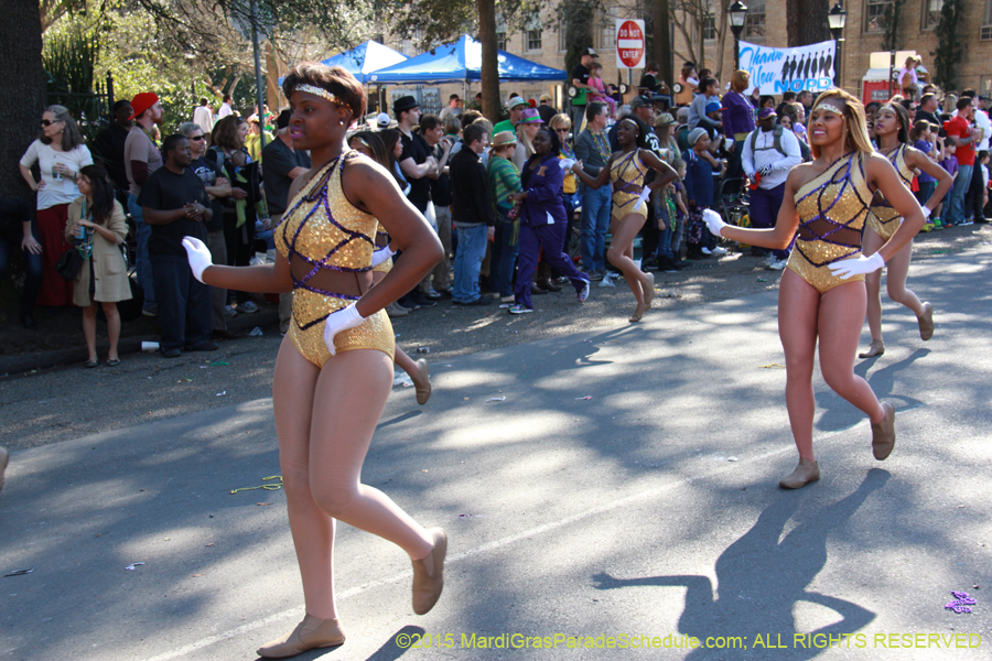 Krewe-of-Choctaw-2015-11127