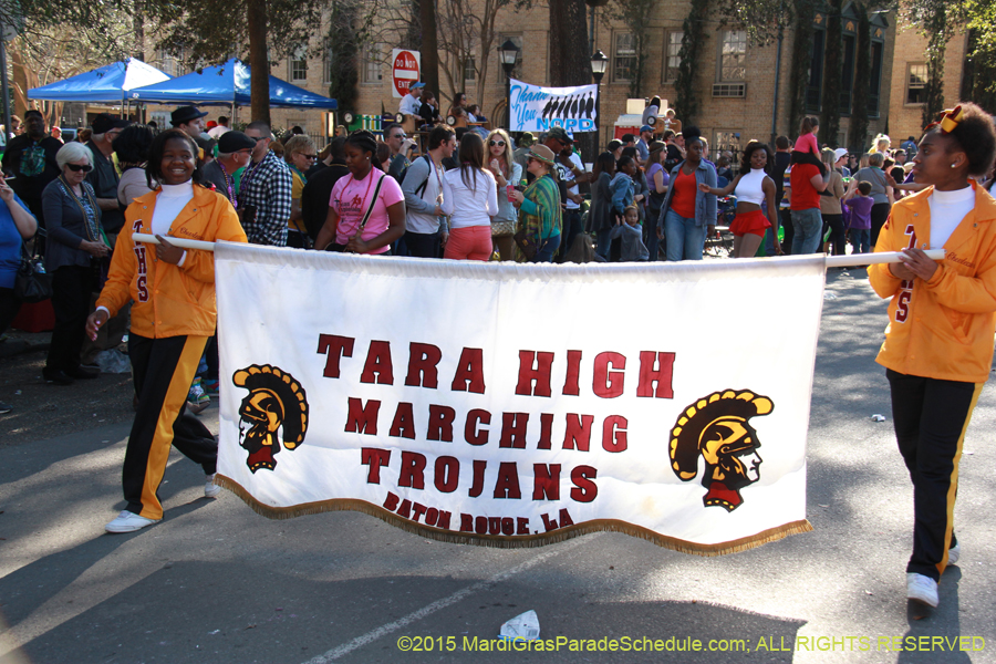 Krewe-of-Choctaw-2015-11168