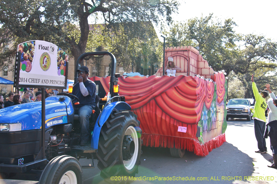 Krewe-of-Choctaw-2015-11187