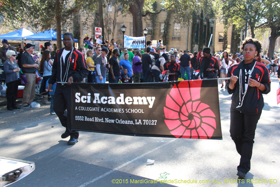 Krewe-of-Choctaw-2015-11188