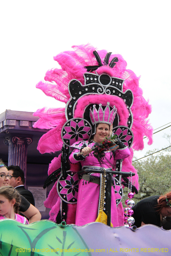 Krewe-of-Choctaw-2019-002060