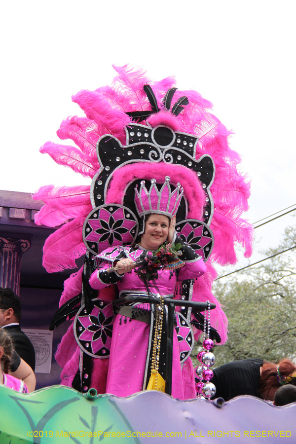 Krewe-of-Choctaw-2019-002061
