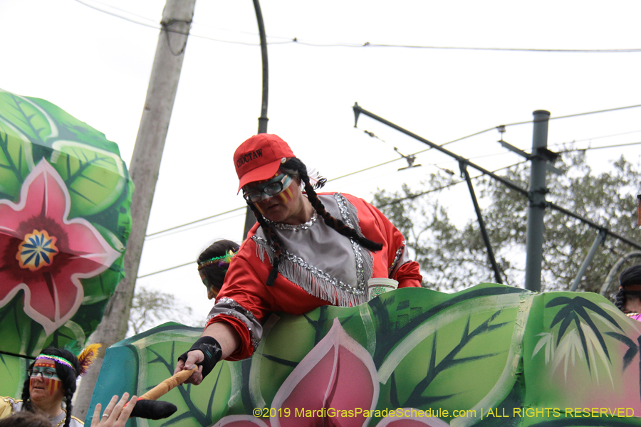 Krewe-of-Choctaw-2019-002084