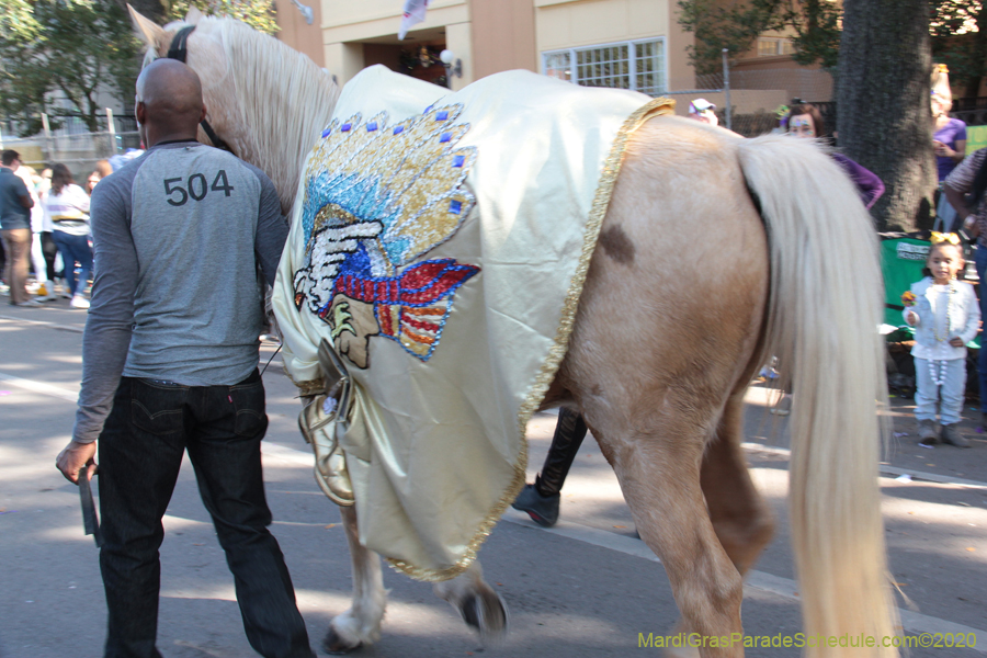 Krewe-of-Choctaw-2020-02467