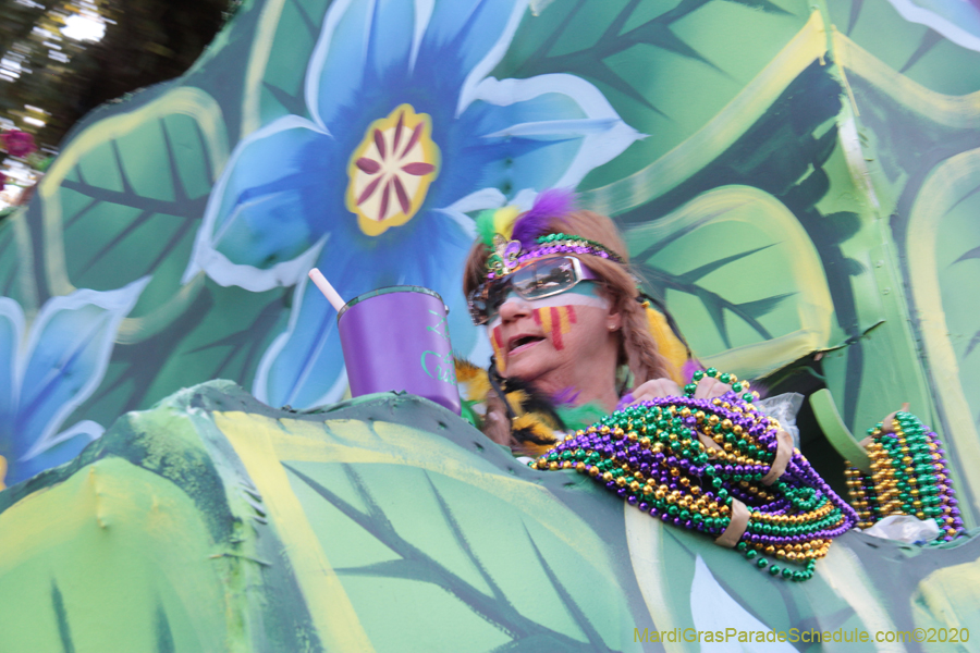 Krewe-of-Choctaw-2020-02522