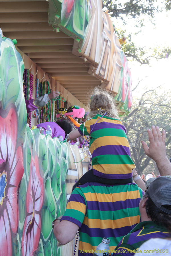 Krewe-of-Choctaw-2020-02527