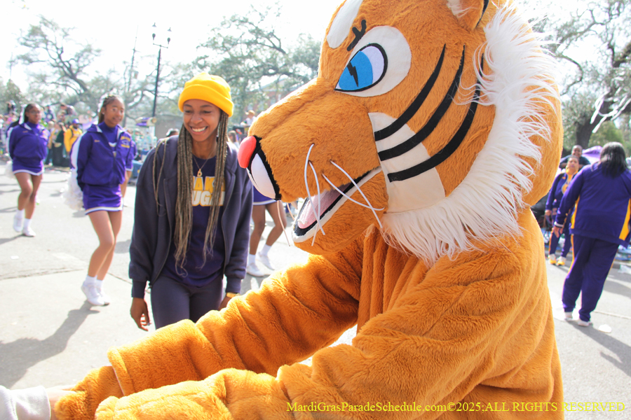 Krewe-of-Choctaw-2025-002392