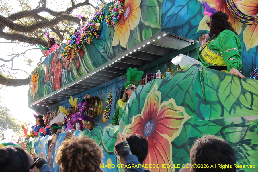 Krewe-of-Choctaw-2026-3619
