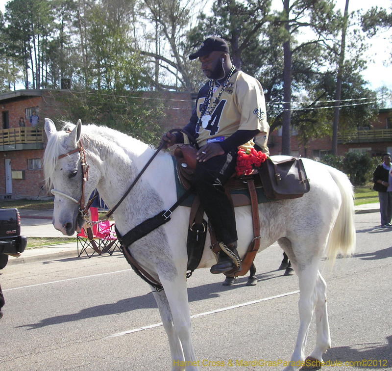 Krewe-of-Claude-HC-2012-0037