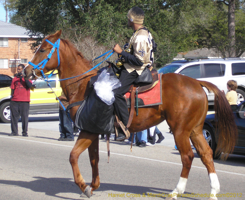 Krewe-of-Claude-HC-2012-0038