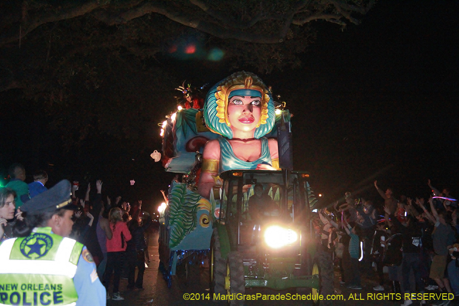2014-Krewe-of-Cleopatra-11090