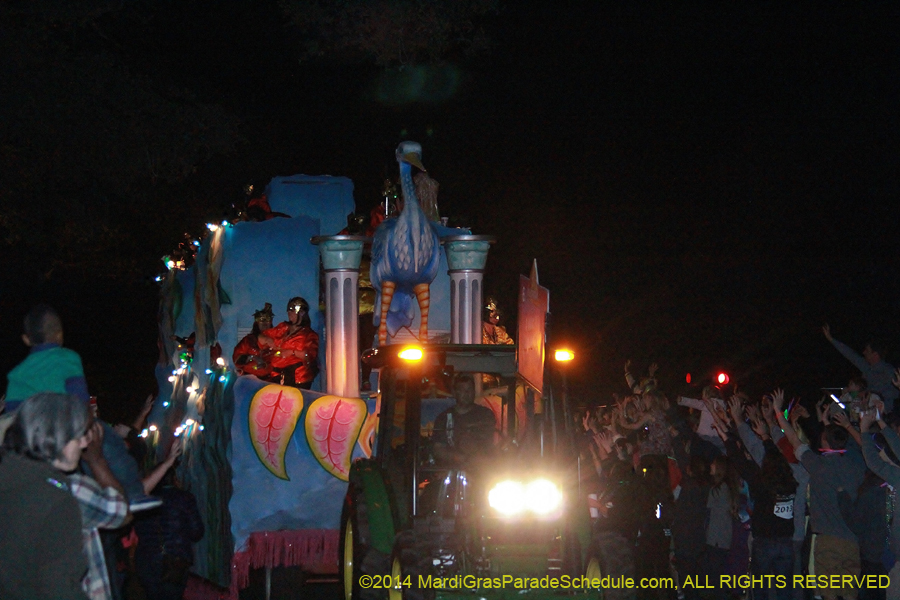 2014-Krewe-of-Cleopatra-11107