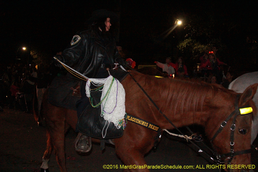 2016-Krewe-of-Cleopatra-001290