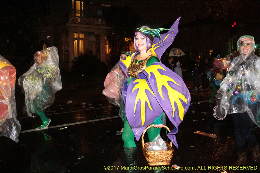 Krewe-of-Cleopatra-2017-01845