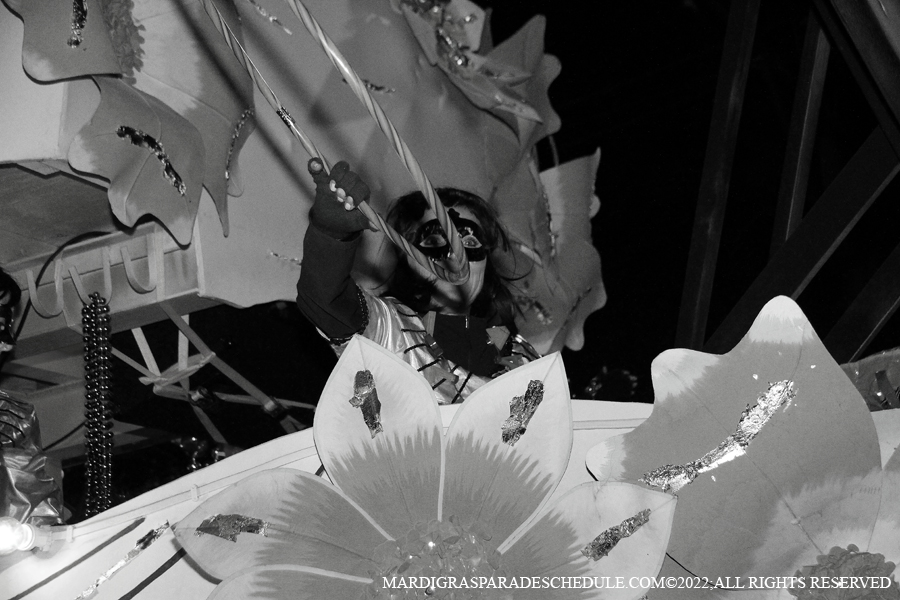 Krewe-of-Cleopatra-00122-2022