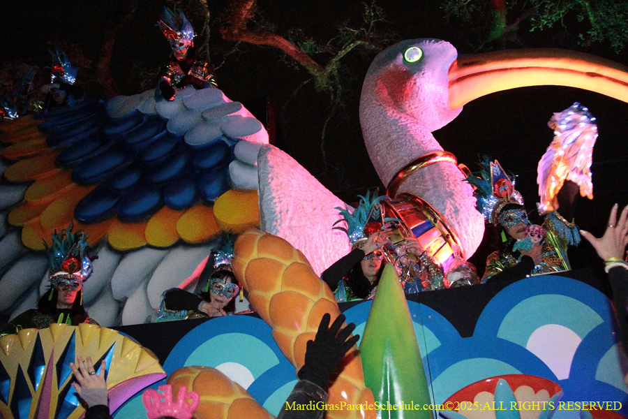 Krewe-of-Cleopatra-2025-001875