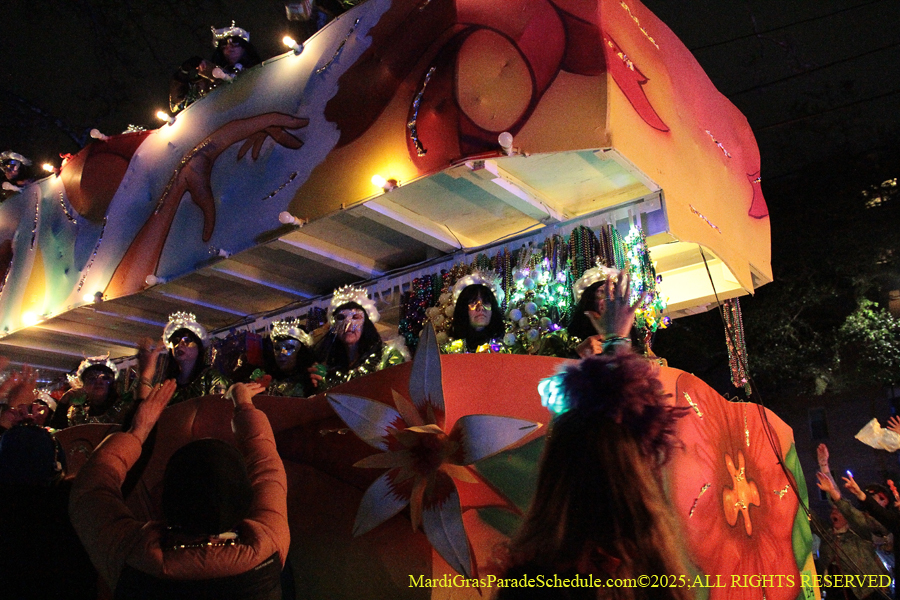 Krewe-of-Cleopatra-2025-002062