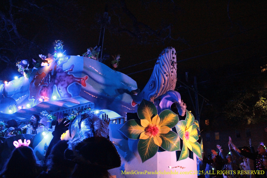 Krewe-of-Cleopatra-2025-002074