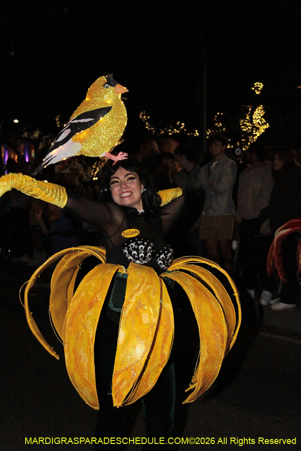 Krewe-of-Cleopatra-2026-2401