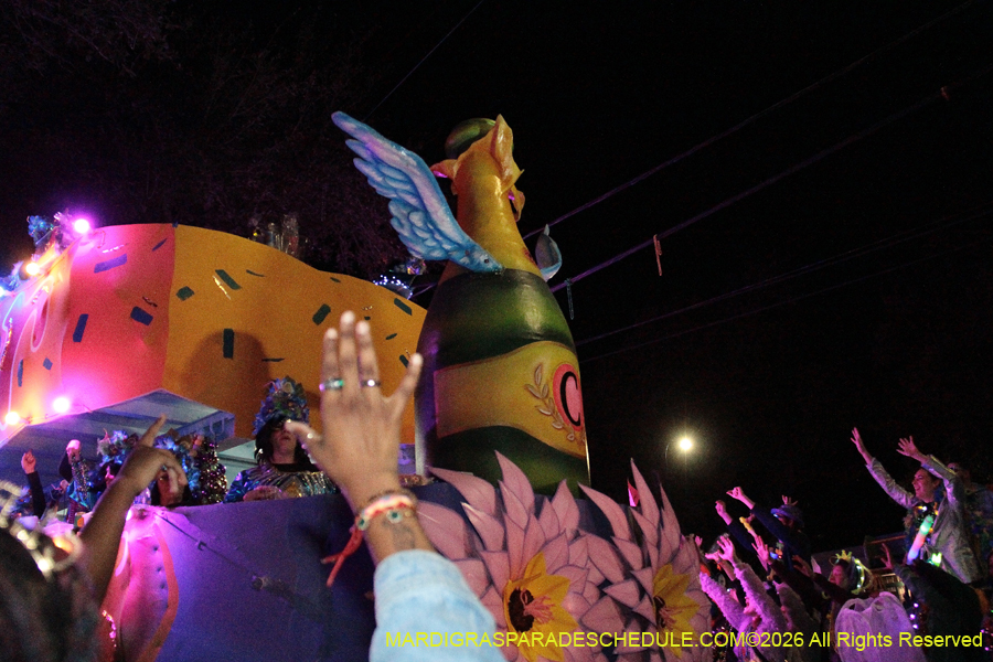 Krewe-of-Cleopatra-2026-2683