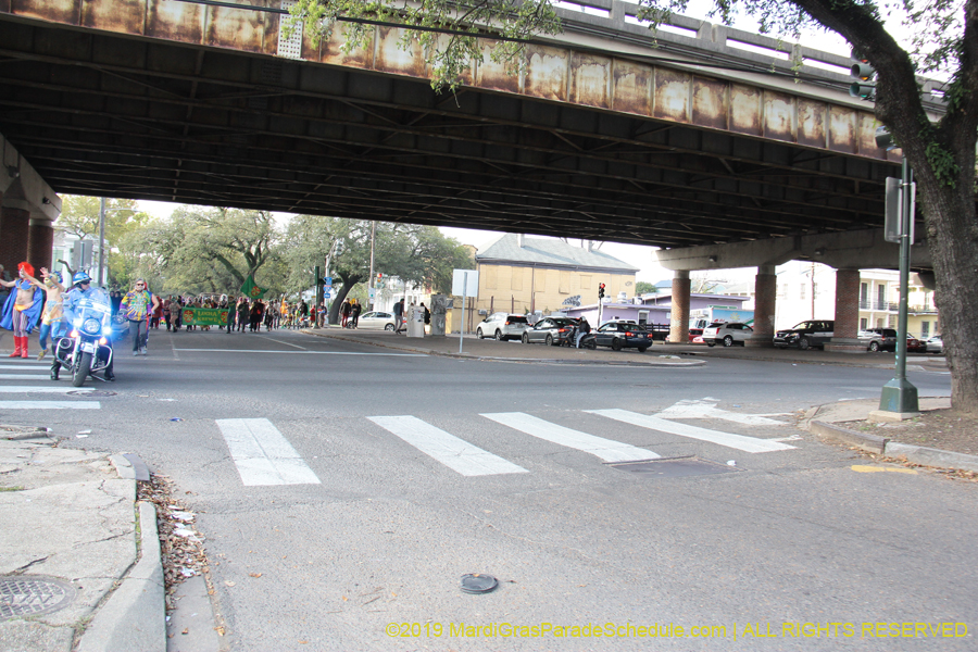 Krewe-of-Dead-Beans-2019-009427