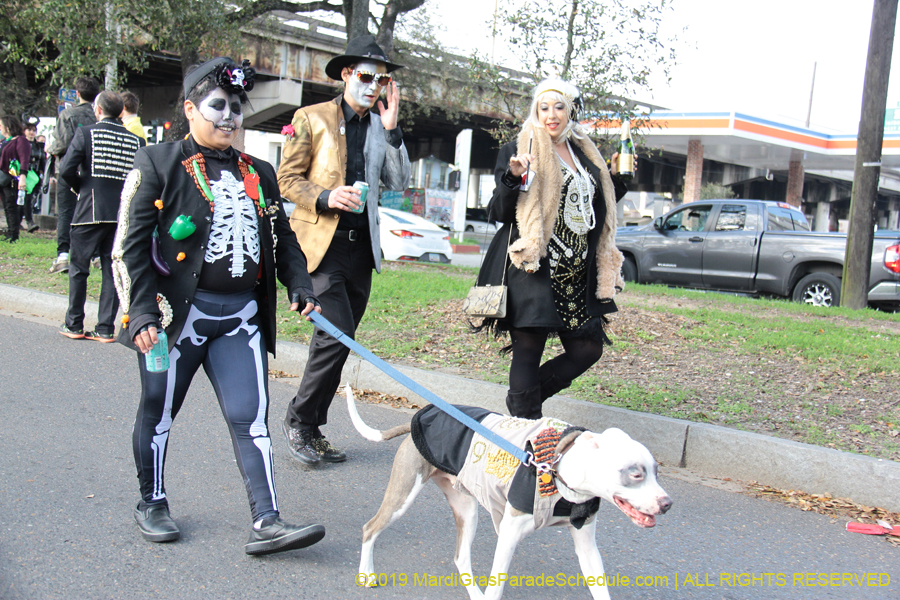 Krewe-of-Dead-Beans-2019-009447