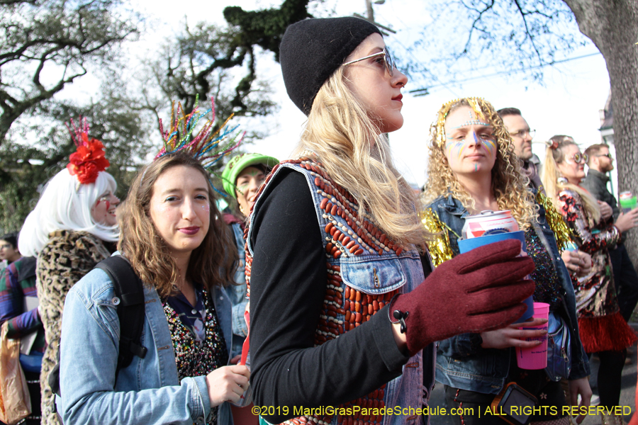 Krewe-of-Dead-Beans-2019-009473