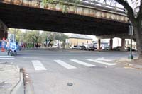 Krewe-of-Dead-Beans-2019-009427