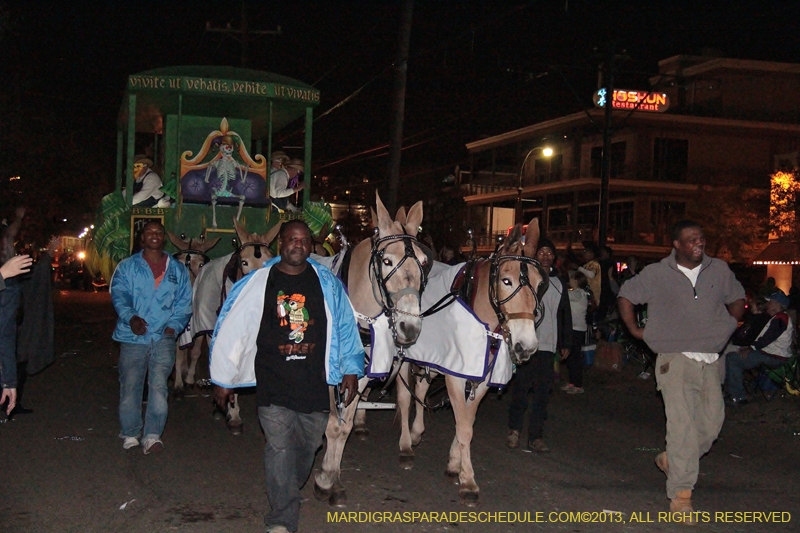 Le-Krewe-detat-2013-1062