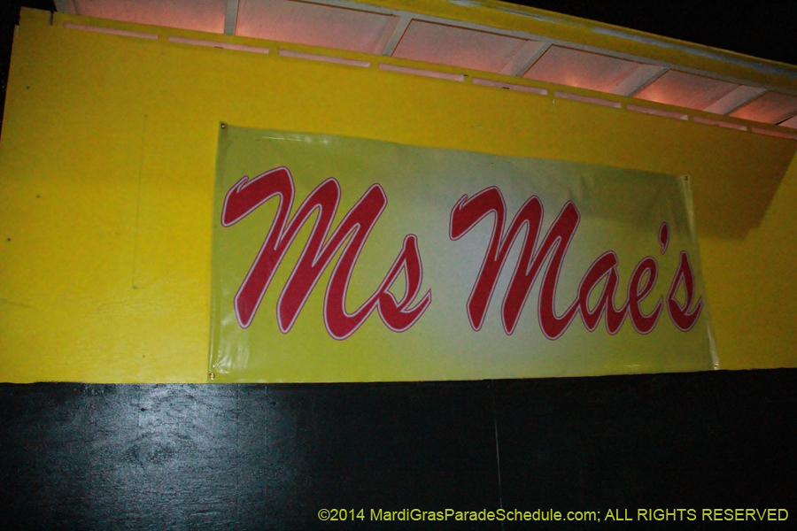 2014-Le-Krewe-dEtat11130