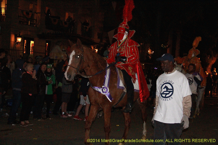 2014-Le-Krewe-dEtat11131