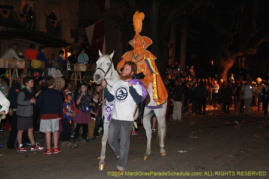 2014-Le-Krewe-dEtat11132