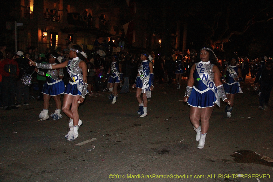 2014-Le-Krewe-dEtat11142