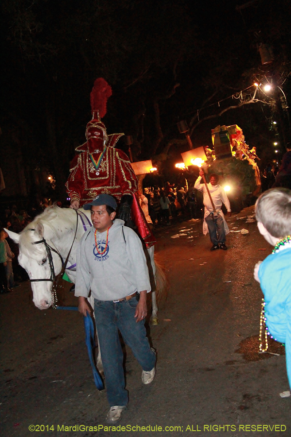 2014-Le-Krewe-dEtat11157