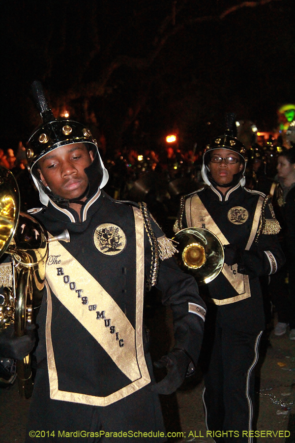 2014-Le-Krewe-dEtat11168