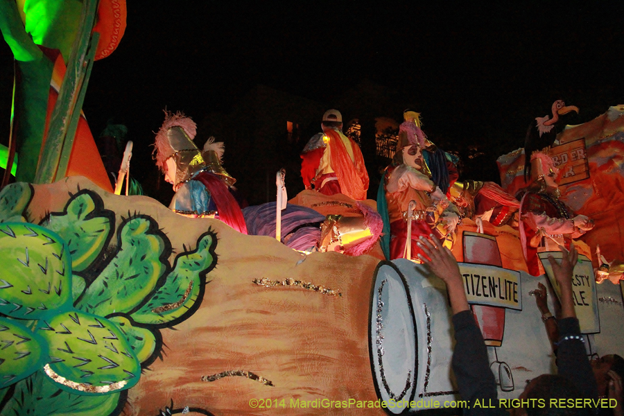 2014-Le-Krewe-dEtat11192