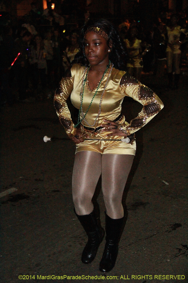 2014-Le-Krewe-dEtat11237