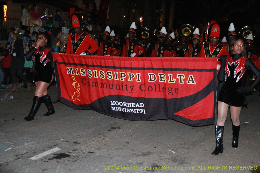 2014-Le-Krewe-dEtat11241