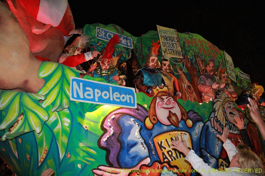 2014-Le-Krewe-dEtat11253