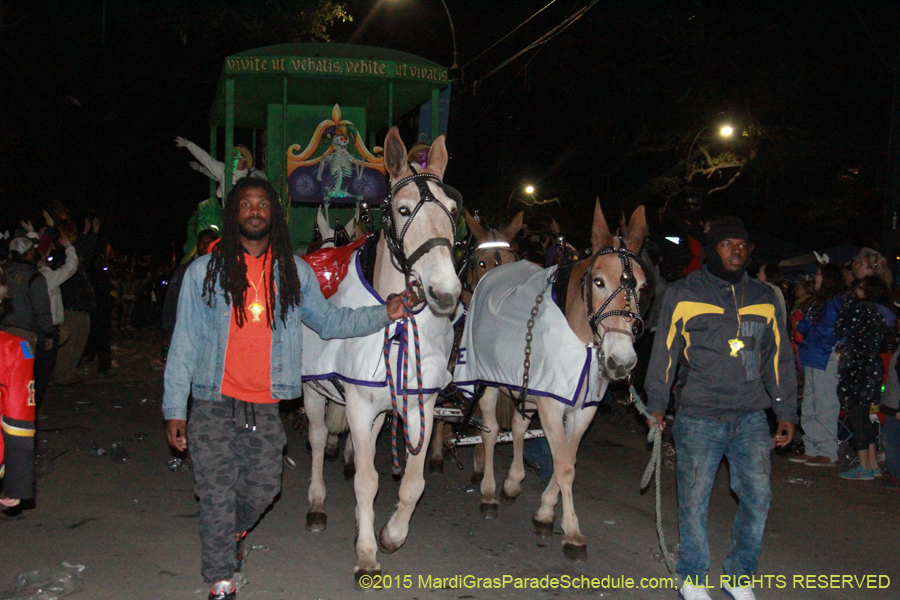 Le-Krewe-dEtat-2015-14953