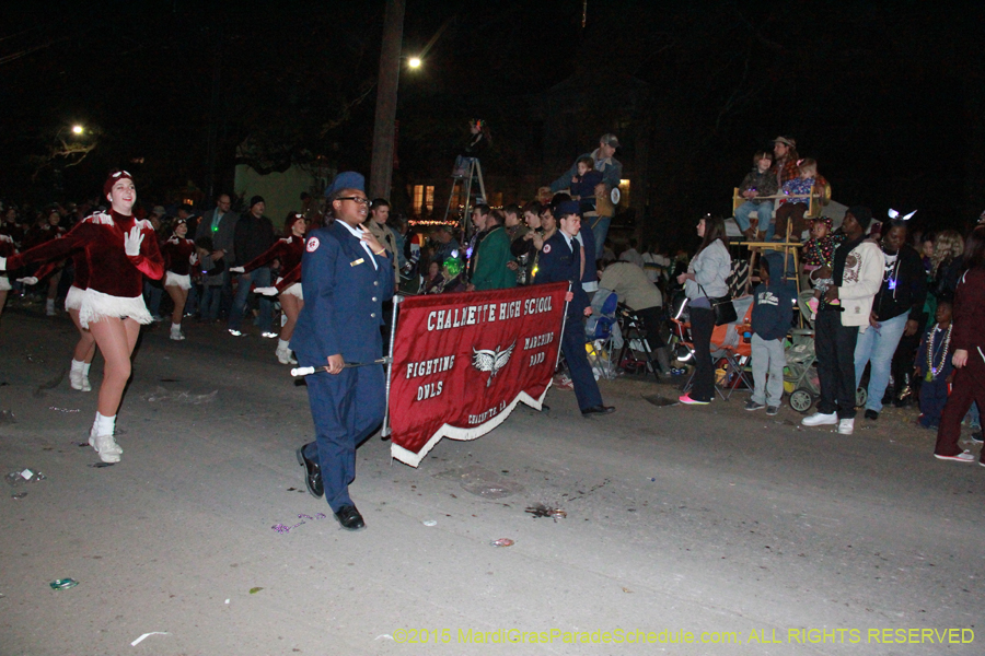 Le-Krewe-dEtat-2015-14990