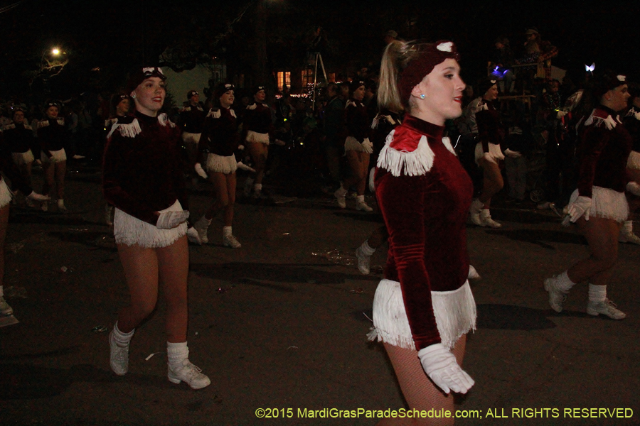 Le-Krewe-dEtat-2015-14991