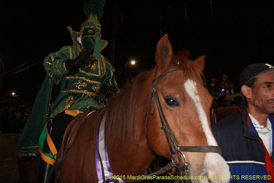 Le-Krewe-dEtat-2015-15018
