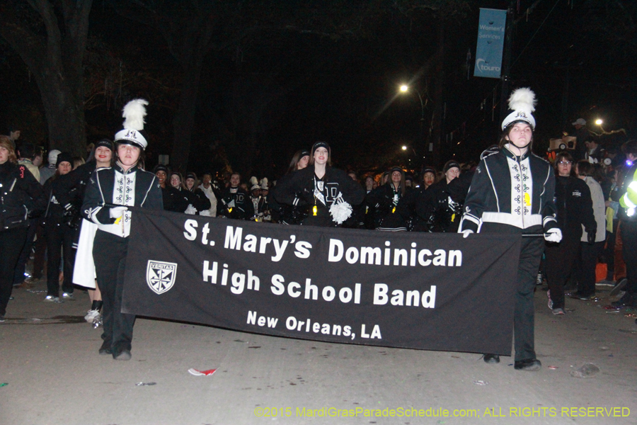 Le-Krewe-dEtat-2015-15088