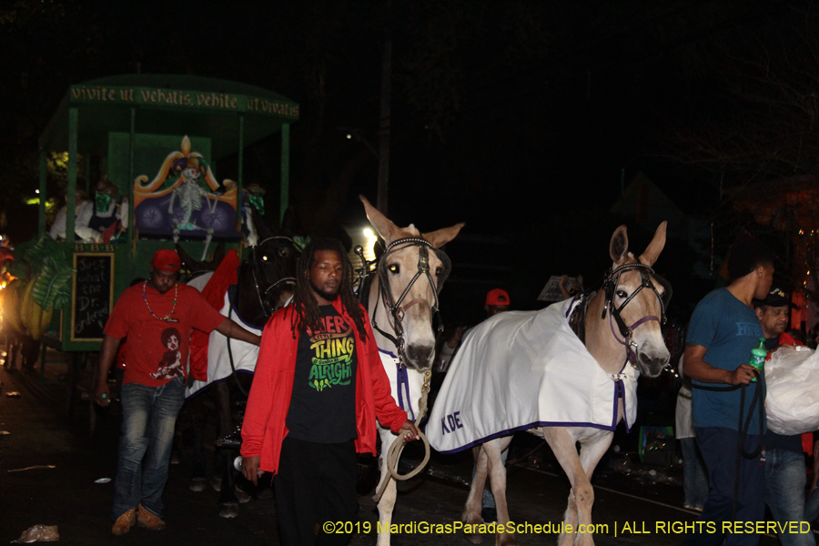 Le-Krewe-dEtat-2019-005596