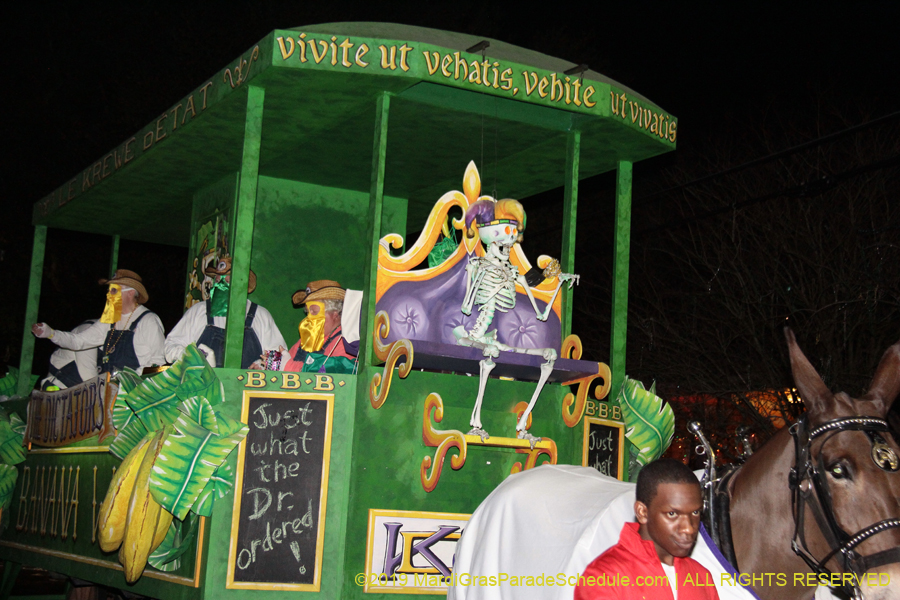 Le-Krewe-dEtat-2019-005597