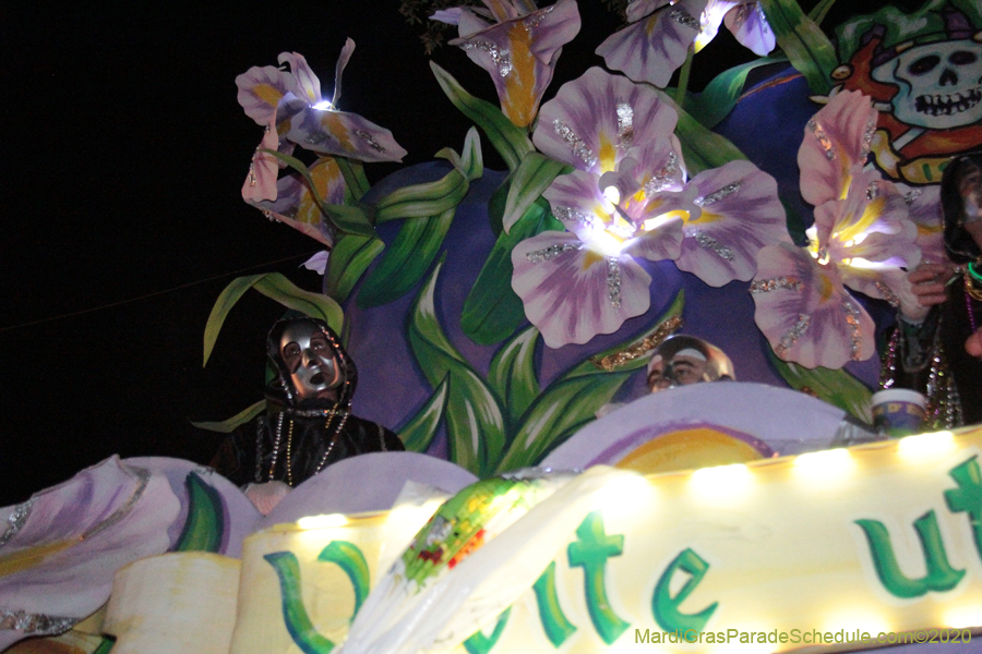 Le-Krewe-Detat-2020-05363